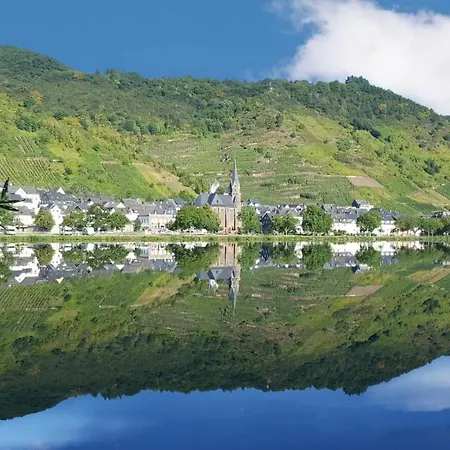 Komfortferienwohnung Mit Traumhaftem Moselblick *