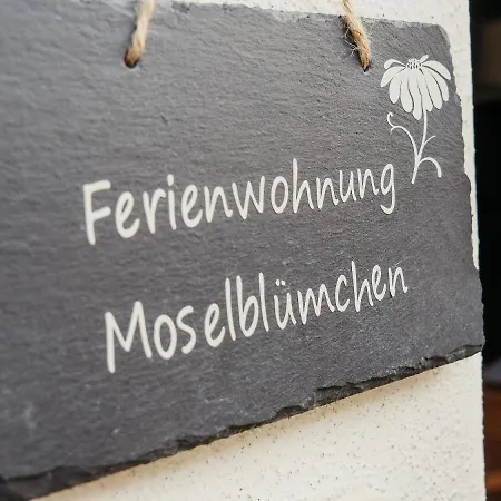 Apartment Komfortferienwohnung Mit Traumhaftem Moselblick